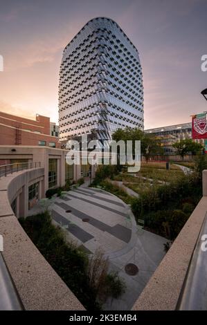 Calgary, Alberta - 25 settembre 2022: Esterno della nuova MacKimmie Tower nel campus dell'Università di Calgary. Foto Stock