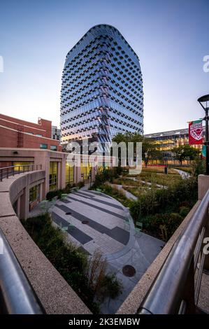 Calgary, Alberta - 25 settembre 2022: Esterno della nuova MacKimmie Tower nel campus dell'Università di Calgary. Foto Stock