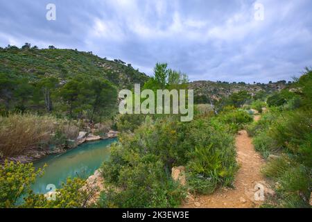 Bellissimo paesaggio naturale con un piccolo lago. Laghetto verde e pietre. Foto Stock