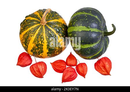 Due zucche decorative e frutti di physalis isolati su sfondo bianco Foto Stock