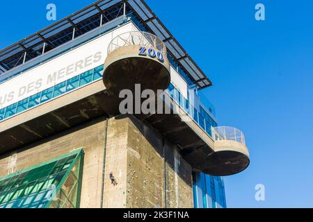 Wien, Vienna: Acquario pubblico Haus des Meeres in ex torre di flak, scalatore a muro nel 06. Mariahilf, Vienna, Austria Foto Stock