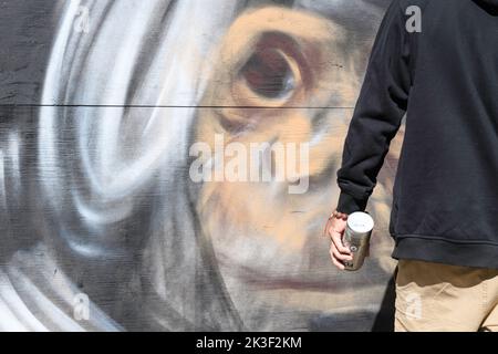 L'artista Graffiti dipinge un ritratto di un cosmonaut scimmia su un muro durante il Beakerhead Festival a Calgary, Alberta Canada Foto Stock