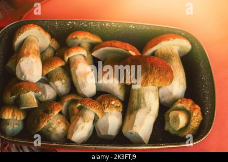 Funghi porcini freschi su un vassoio in cucina. Foto di alta qualità Foto Stock