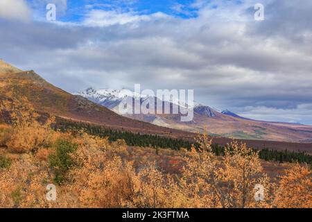 Punto panoramico del Denali National Park Alaska Foto Stock
