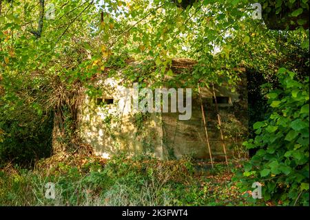 Hidden Pillbox, Howberry Park, Oxfordshire Foto Stock