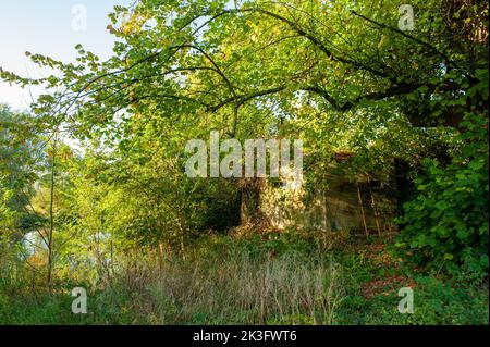 Hidden Pillbox, Howberry Park, Oxfordshire Foto Stock