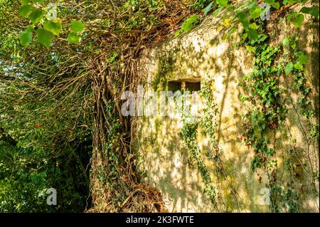 Hidden Pillbox, Howberry Park, Oxfordshire Foto Stock