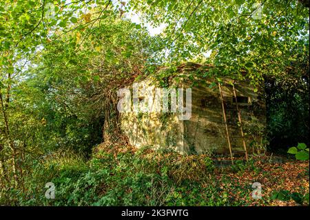 Hidden Pillbox, Howberry Park, Oxfordshire Foto Stock