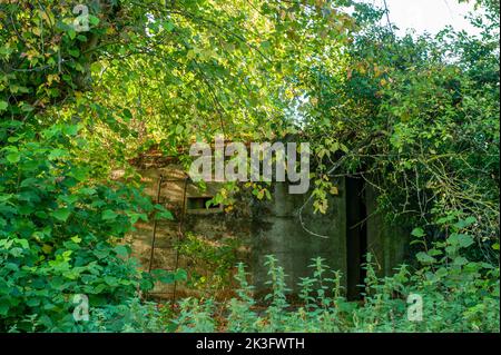 Hidden Pillbox, Howberry Park, Oxfordshire Foto Stock