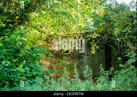 Hidden Pillbox, Howberry Park, Oxfordshire Foto Stock