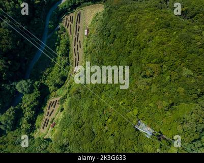 Vista dall'alto verso il basso della torre e dei cavi elettrici sulla piccola azienda agricola del paese Foto Stock