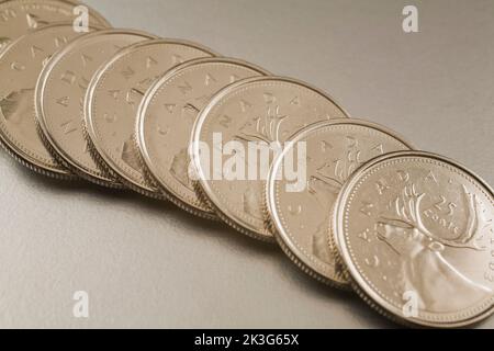 Fila di monete canadesi da 25 centesimi su sfondo argento. Foto Stock