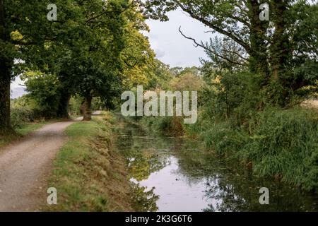 Una sezione riparata e rigenerata dei Wilt. E Berks. Canale vicino a Pewsham a Chippenham, Wiltshire. Riparato dal Wilts and Berks Canal Trust. Foto Stock