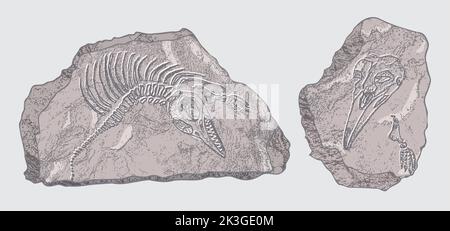 Pietra con impronte di scheletri di animali preistorici, insetti e piante. Archeologia grigia, frammenti di rocce di crack, massi di detriti. Set di Illustrazione Vettoriale