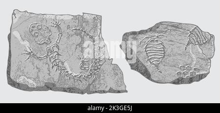 Pietra con impronte di scheletri di animali preistorici, insetti e piante. Archeologia grigia, frammenti di rocce di crack, massi di detriti. Set di Illustrazione Vettoriale