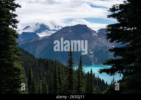 Vista sul Lago Garibaldi attraverso gli alberi sul sentiero Panorama Ridge. Foto Stock