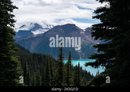 Vista sul Lago Garibaldi attraverso gli alberi sul sentiero Panorama Ridge. Foto Stock