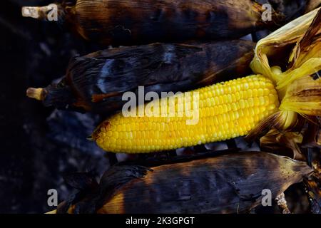 Vista dall'alto sul mais dolce appena bollito o grigliato sulla pannocchia cosparsa di sale e spezie. Famoso cibo di strada turco. Pannocchie di mais grigliate su una graniglia di carbone Foto Stock