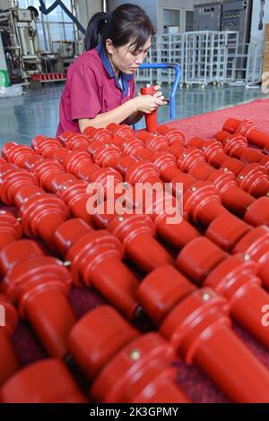 QINGZHOU, CINA - 27 SETTEMBRE 2022 - i lavoratori lavorano all'assemblaggio all'interno di un workshop di un'impresa di produzione elettrica nello sviluppo economico di Qingzhou Foto Stock