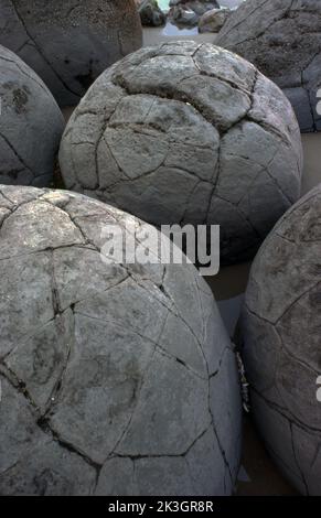 I Moeraki Boulders sono massi sferici insolitamente grandi che si trovano lungo un tratto di Koekohe Beach sulla costa ottagana della Nuova Zelanda Foto Stock