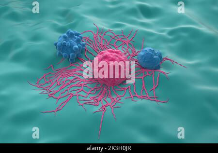 Cellule tumorali della tiroide - immagine isometrica 3D Foto Stock