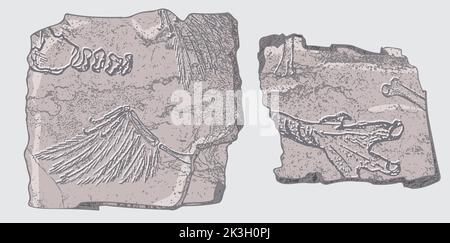 Pietra con impronte di scheletri di animali preistorici, insetti e piante. Archeologia grigia, frammenti di rocce di crack, massi di detriti. Set di Illustrazione Vettoriale