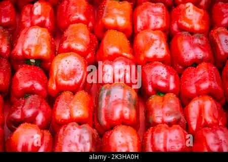 Molti peperoni rossi grandi e dolci piegati in file. Foto Stock