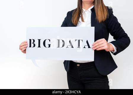 Didascalia concettuale Big Data. Parola per gli insiemi che così complesso che il software tradizionale non può occuparsi di loro Foto Stock