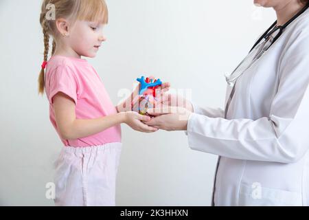 Il medico un cardiologo pediatrico tiene un modello di cuore umano nelle sue mani e passa ad una bambina di 5 anni. Conc. Cardiologia pediatrica Foto Stock