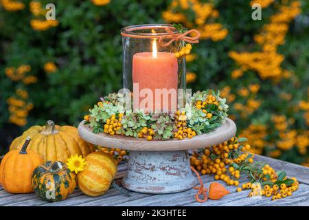 sistemazione autunnale con candela e corona di bacche di girasole, fiori di ortensia e rami di alberi di scatola Foto Stock