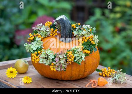 sistemazione autunnale con zucca e corona di frutti di bosco, fiori di ortensia e rami di bosso Foto Stock