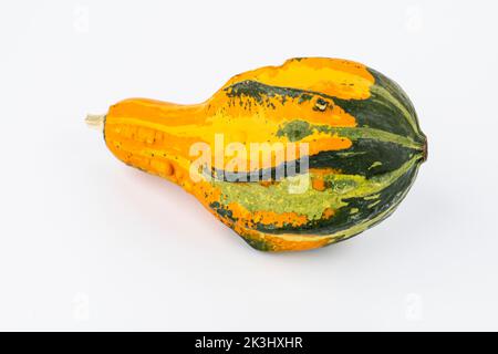 Zucca decorata in forma su sfondo bianco Foto Stock