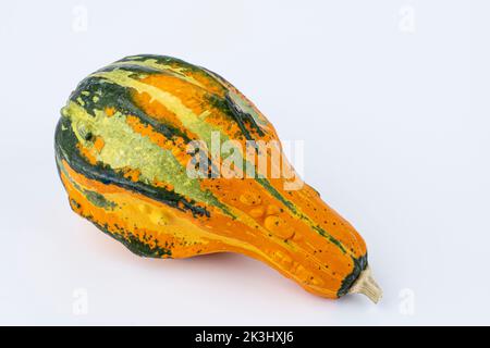 Zucca decorata in forma su sfondo bianco Foto Stock