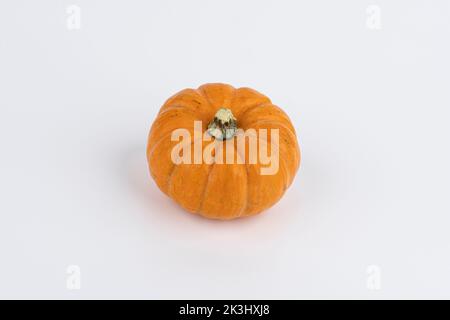 Zucca decorata in forma su sfondo bianco Foto Stock