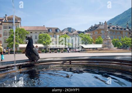 Piazza Walther Platz, Piazza Walther, Bolzano, Italia Foto Stock