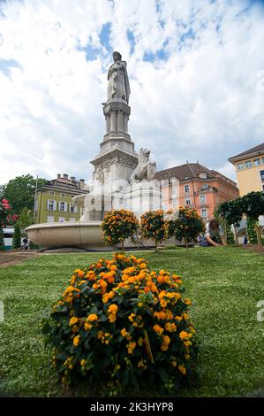 Piazza Walther Platz, Piazza Walther, Bolzano, Italia Foto Stock