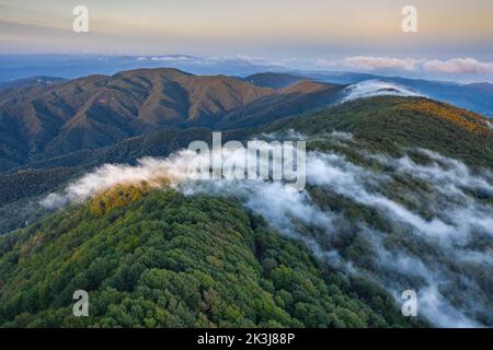 Nebbia causata dal vento marittimo che scivola sul monte Montnegre al tramonto (Vallès Oriental, Barcellona, Catalogna, Spagna) Foto Stock