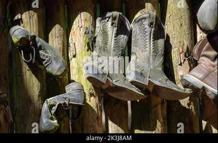 Una varietà di vecchi stivali da cowboy appesi su una parete di legno Foto Stock