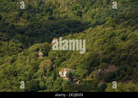 Case circondate dalla foresta di Montnegre, visto da Hortsavinyà (Tordera, Maresme, Barcellona, Catalogna, Spagna) ESP: Casas rodeadas por el bosque Foto Stock