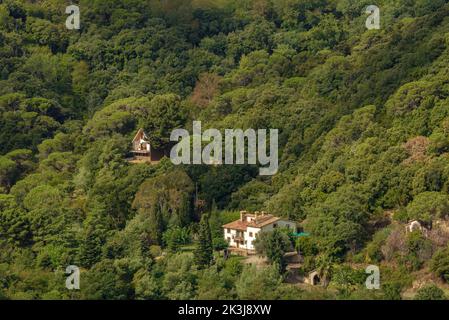 Case circondate dalla foresta di Montnegre, visto da Hortsavinyà (Tordera, Maresme, Barcellona, Catalogna, Spagna) ESP: Casas rodeadas por el bosque Foto Stock