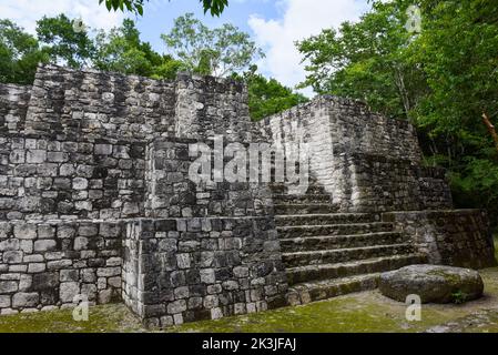 Calakmul, sito archeologico Maya, stato di Campeche, Messico Foto Stock