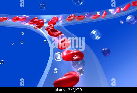 Rappresentazione 3D anatomica dei globuli rossi nella circolazione sanguigna. Vetro capillare trasparente su sfondo blu. Foto Stock