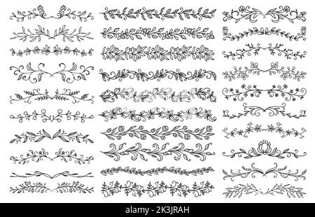 Decorazioni floreali. Bordi e divisori. Matrimonio e biglietto d'invito abbellimenti floreali, certificato fiorire divisori vettoriali con rametti e fiori di piante, ramoscelli di erbe, foglie e germogli Illustrazione Vettoriale