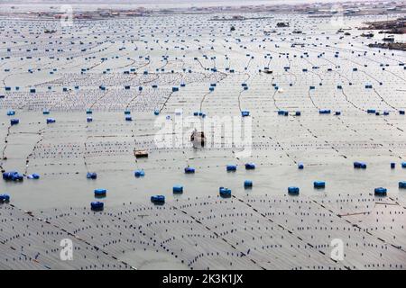 NINGDE, CHIAN - 23 SETTEMBRE 2022 - i lavoratori dell'acquacoltura operano sulla superficie del mare nella città di Ningde, provincia di Fujian, Cina, 23 settembre 2022. Foto Stock