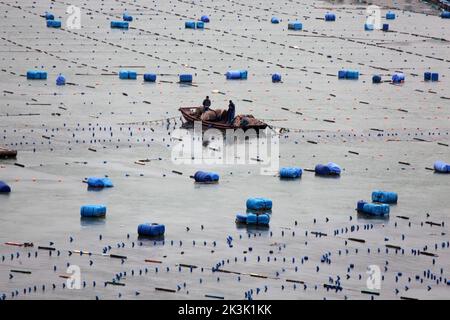 NINGDE, CHIAN - 23 SETTEMBRE 2022 - i lavoratori dell'acquacoltura operano sulla superficie del mare nella città di Ningde, provincia di Fujian, Cina, 23 settembre 2022. Foto Stock