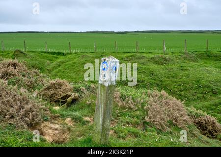 Un cartello per il Wales Coast Path e il North Wales Pilgrims Way sulla costa della penisola di Llyn Foto Stock