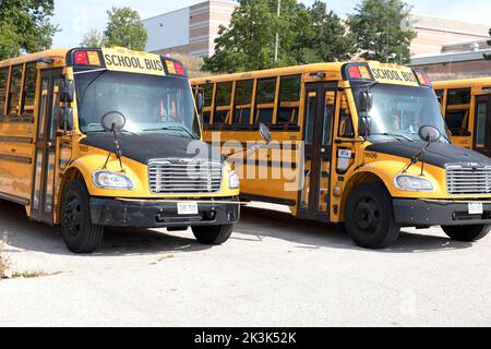 Scuolabus giallo con nuove spie ambra e rossa. Ontario, Canada. Foto Stock