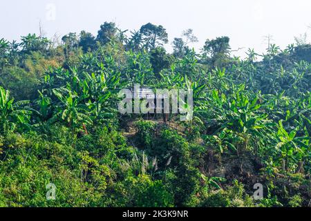 Lo spostamento del campo di coltivazione sopra i tratti collinari del Bangladesh vicino al Bazar di Cox. Spostamento del paesaggio di coltivazione dell'agricoltura sulla collina. Foto Stock