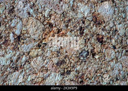texture nei dettagli, primo piano in sughero beige Foto Stock