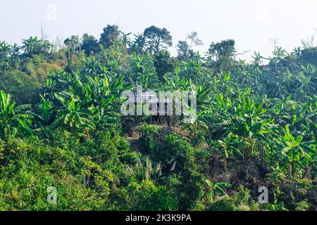 Lo spostamento del campo di coltivazione sopra i tratti collinari del Bangladesh vicino al Bazar di Cox. Spostamento del paesaggio di coltivazione dell'agricoltura sulla collina. Foto Stock